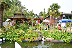 DAYLIGHT, DARK NIGHT AND BLUE SKIES WITH PAPA BUENO